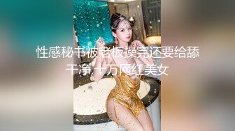 与少妇的激情2