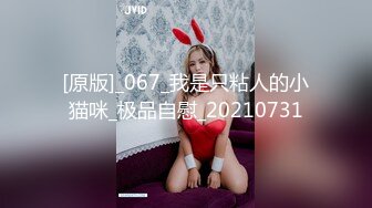 顶级黑丝美腿爆乳女神，诱惑指数9分，情趣套装吊带丝袜，露出美臀跪着摇摆，揉搓多毛骚逼，浪叫呻吟说骚话，尿尿在脸盘里