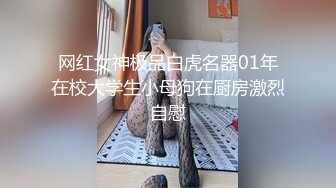 麻豆传媒 MDSR-0001 《妖女榨汁》秦老师的秘密