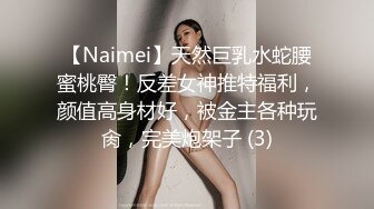 【Naimei】天然巨乳水蛇腰蜜桃臀！反差女神推特福利，颜值高身材好，被金主各种玩肏，完美炮架子 (3)