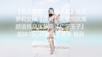 以前的存货(0632)