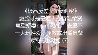 磨人的小婊子