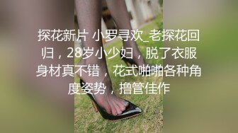 夜晚主路车震，无套，啪啪先口交，再后入