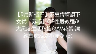 【9月新档三】麻豆传媒旗下女优「苏畅」OF性爱教程&大尺度生活私拍&AV花絮 清纯白虎反差小淫女 (3)