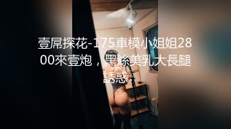 壹屌探花-175車模小姐姐2800來壹炮，黑絲美乳大長腿誘惑