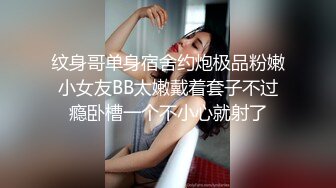 [MP4]STP28506 腿模网红女神！超性感！网袜高跟鞋腿玩年，脱下豹纹内裤，按摩器怼着骚穴震动 掰穴塞入爽翻 VIP0600