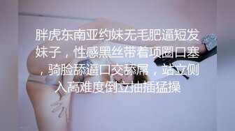 羔羊医生DoctorLamb1992DVDRip国粤双语中字