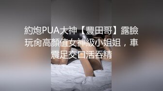 极品身材前女友上位