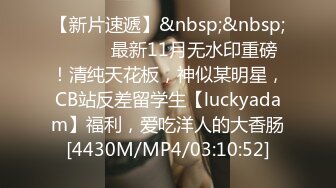 杏仁曲奇 黑兽 精灵女王