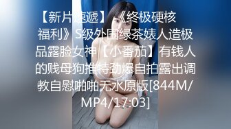 [MP4/ 553M] 歌厅探花小贺，平台商K第一人，青春靓丽小姐姐，大长腿身姿曼妙