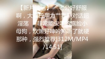 对白清晰情趣酒店TP四眼仔和漂亮女同事啪啪骚货的叫床呻吟很大