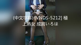 (中文字幕) [VNDS-5212] 極上熟女 成宮いろは