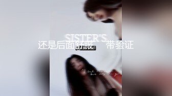 -天美传媒TM0108美少妇的哀羞1 小伊被凌辱的开始-伊琬琳