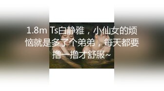 1.8m Ts白静雅，小仙女的烦恼就是多了个弟弟，每天都要撸一撸才舒服~