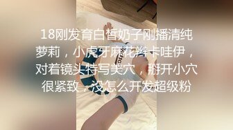 母狗全身写满下流字 被当泄欲公厕肉便器喷精淋尿