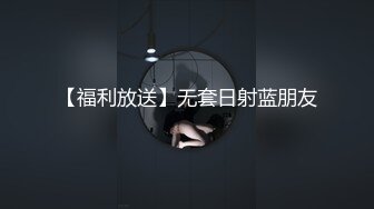 漂亮的少妇漆工2