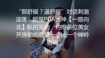 【无码破解】恬静淑女气质十足『冬月枫』秘密女捜査官堕落IPZ-056