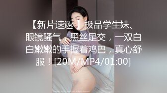 骚老婆，慰安妇