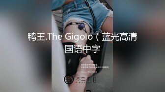 鸭王.The Gigolo（蓝光高清国语中字