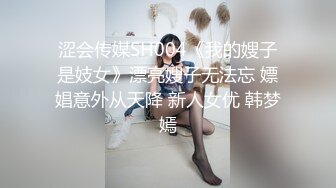 涩会传媒SH004《我的嫂子是妓女》漂亮嫂子无法忘 嫖娼意外从天降 新人女优 韩梦嫣