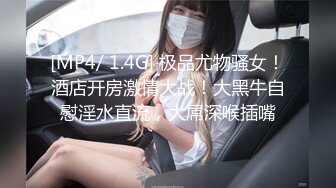 欲求不满正经妻2 结婚为止不知道丈夫之外的男人的我… 美泉咲