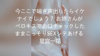 今ここで喘ぎ声出したらイケナイでしょう？ お姉さんがベロキスでお口チャックしたままこっそりSEXシテあげる 星宫一花