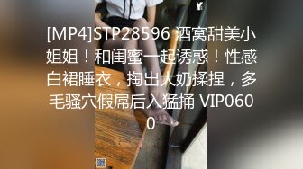 [MP4]STP28596 酒窝甜美小姐姐！和闺蜜一起诱惑！性感白裙睡衣，掏出大奶揉捏，多毛骚穴假屌后入猛捅 VIP0600