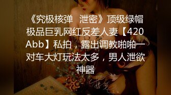 《究极核弹✿泄密》顶级绿帽极品巨乳网红反差人妻【420Abb】私拍，露出调教啪啪一对车大灯玩法太多，男人泄欲神器