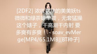 [2DF2] 浓妆艳抹的美美妖ts微微和绿茶婊车震，无套猛操这个婊子，干高潮干内射 要多爽有多爽！ - soav_evMerge[MP4/65.1MB][BT种子]