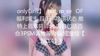 onlyfans】⭐red_ro_se⭐OF福利博主 目前半隐退状态 推特上日常碎碎念 内容包括百合3PSM调教等内容 质量佳【NO.4】