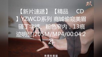 【新片速遞】 【精品❤️CD】YZWCD系列 商城偷窥美眉 骚丁字裤、粉色窄内，13痕迹明显[205M/MP4/00:04:22]