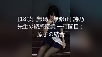 [18禁] [無碼 _ 無修正] 詩乃先生の誘惑授業 一時間目：原子の結合