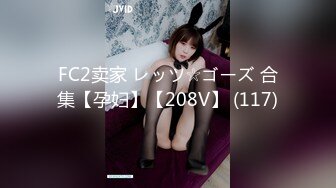 FC2卖家 レッツ☆ゴーズ 合集【孕妇】【208V】 (117)