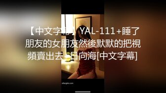 【中文字幕】YAL-111+睡了朋友的女朋友然後默默的把視頻賣出去+日向海[中文字幕]