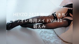 HEYZO 2428 即ハメできちゃうオレ専用メイドVol.11 – 碧えみ