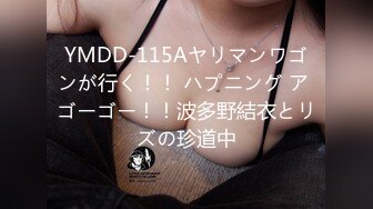 YMDD-115Aヤリマンワゴンが行く！！ ハプニング ア ゴーゴー！！波多野結衣とリズの珍道中