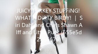 JUiCY TURKEY STUFFiNG! WHAT A DiRTY BiRDY! ｜ Siri Dahl and Chefs Shawn Alff and Little Puck (655e5d2266679)