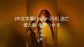 (中文字幕) [nacr-356] 逃亡者と私 永野つかさ