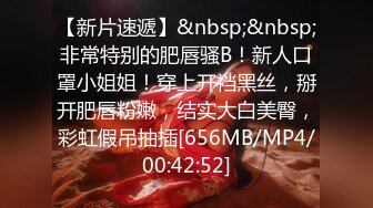 [MP4/513M]2/21最新 长发轻熟女露脸第一视角打飞机一人迎战多个上下齐工VIP1196