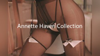 Annette Haven Collection