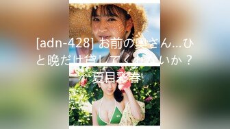 [adn-428] お前の奥さん…ひと晩だけ貸してくれないか？ 夏目彩春