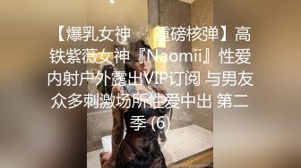 【爆乳女神❤️重磅核弹】高铁紫薇女神『Naomii』性爱内射户外露出VIP订阅 与男友众多刺激场所性爱中出 第二季 (6)